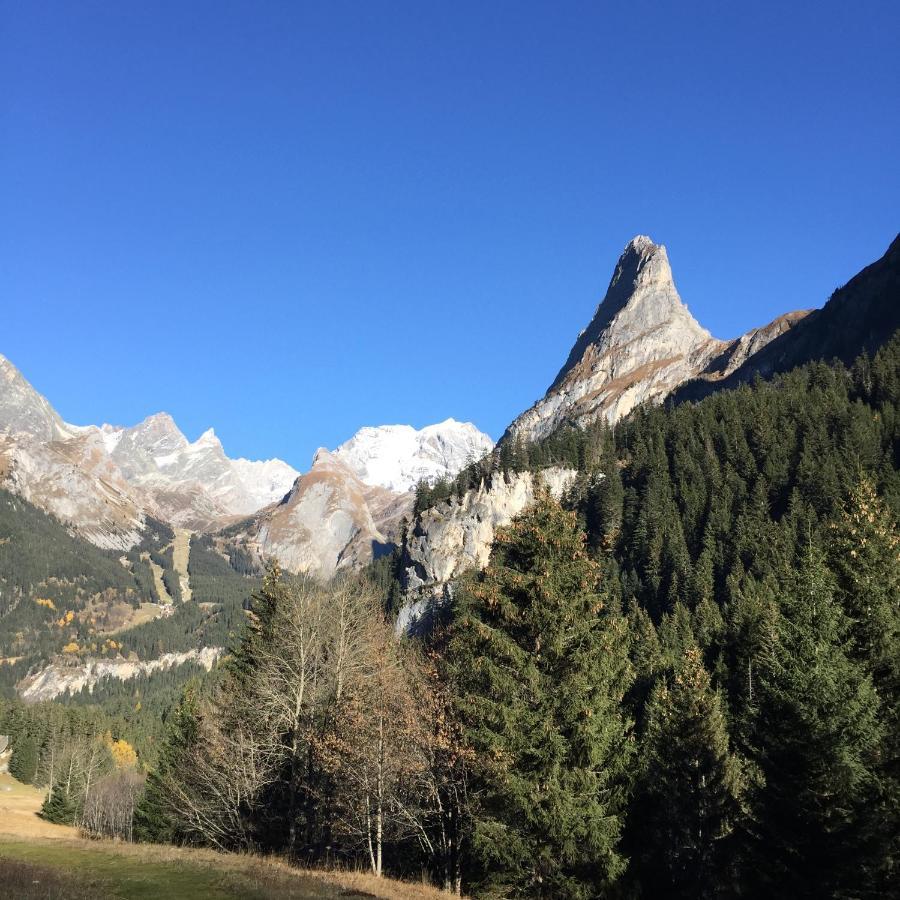 Appartement Montana 8 Pralognan-la-Vanoise Exteriér fotografie